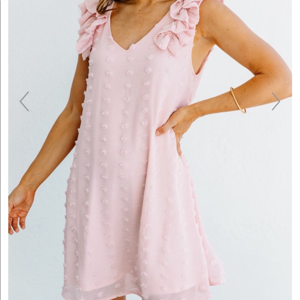 Very Persuasive Blush Pink Swiss Dot Dress